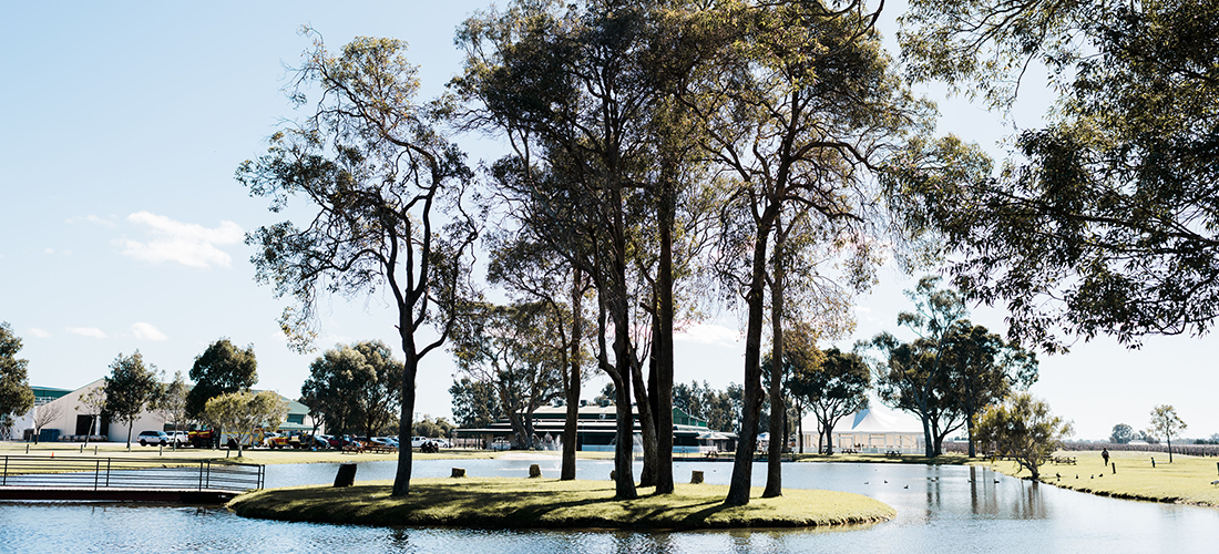 Oakover grounds, lake and trees